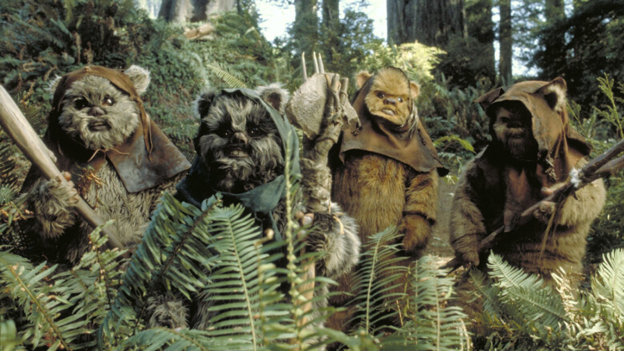 four ewoks standing about in the woods